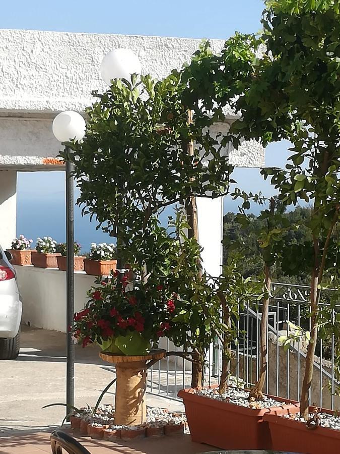 Il Covo Delle Civette Acomodação com café da manhã Vietri Exterior foto